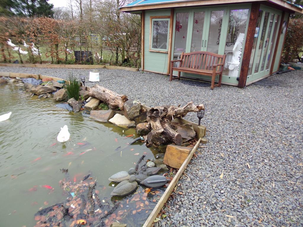 Barton Gate Farm B&B Bude Exterior photo