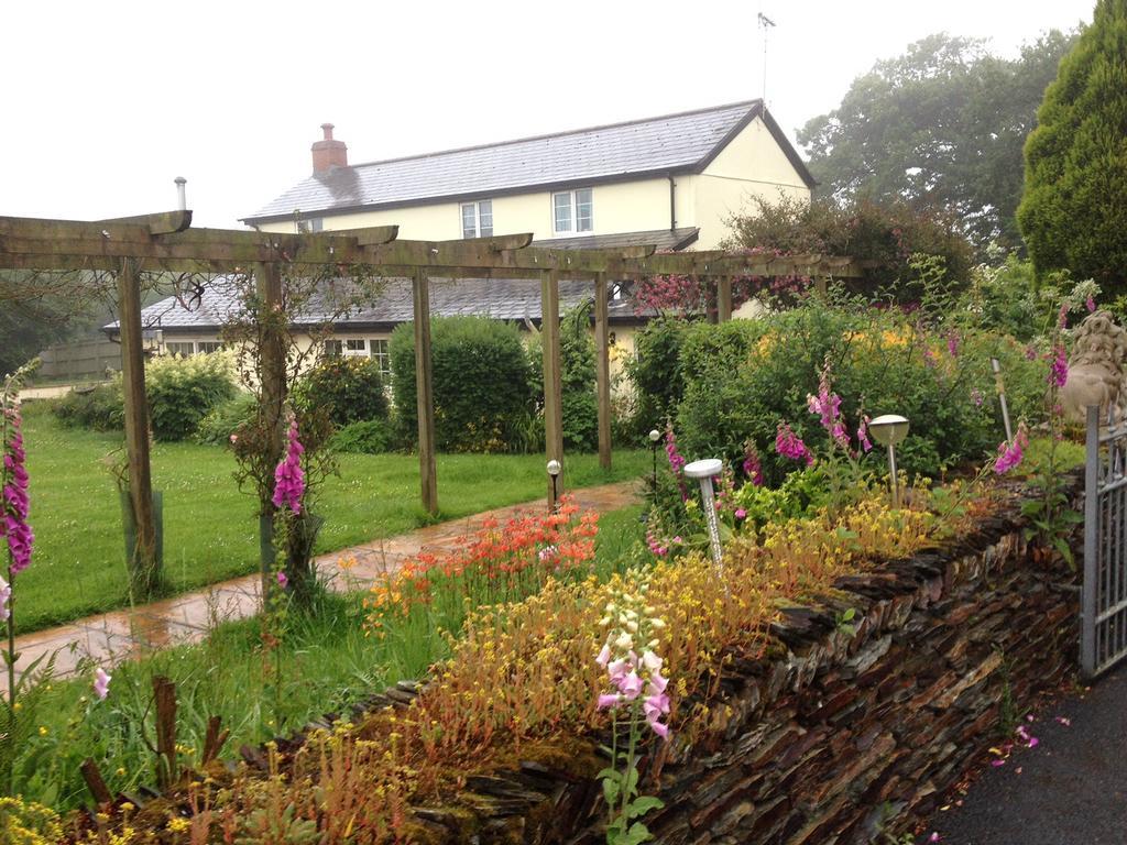 Barton Gate Farm B&B Bude Exterior photo